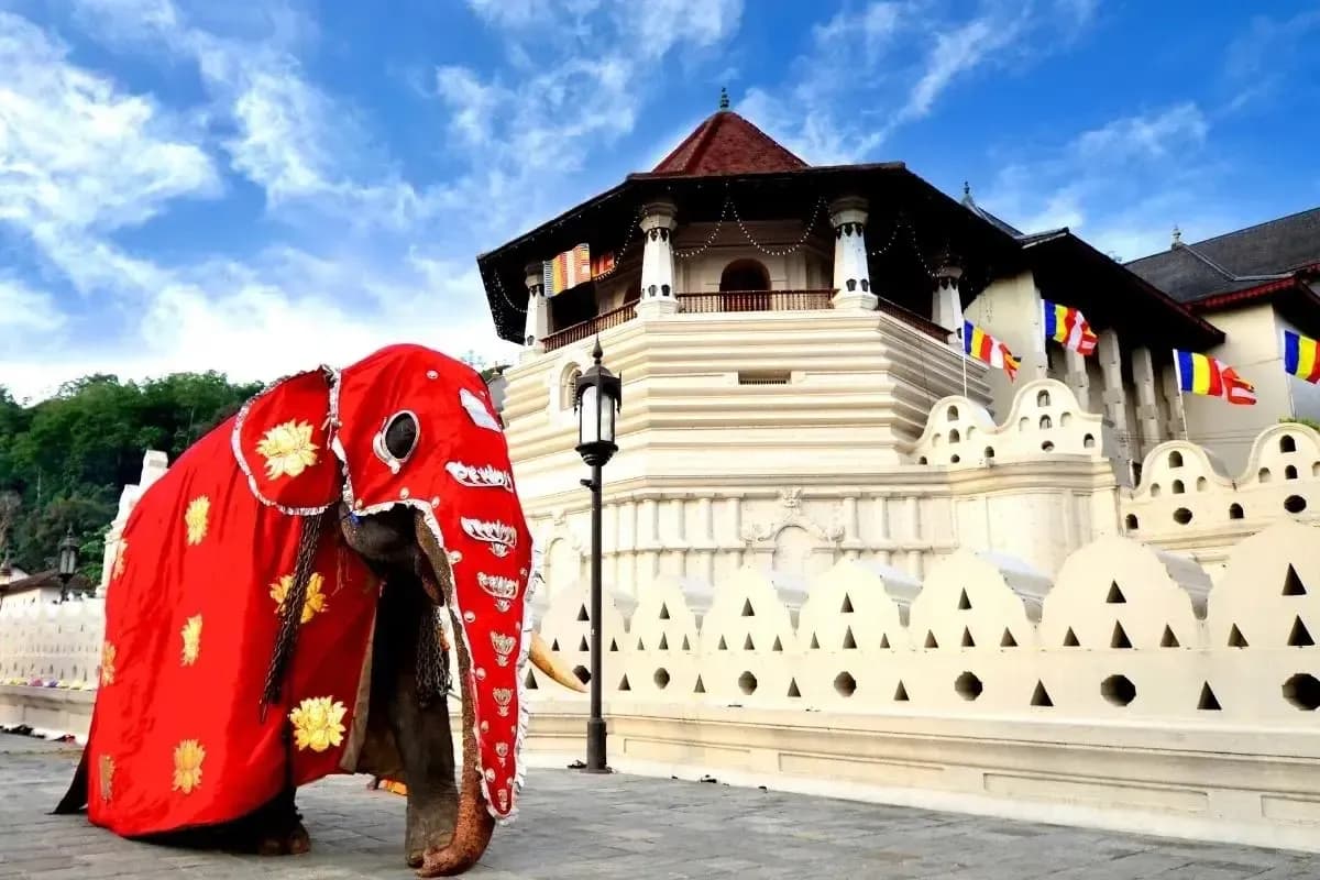 Kandy City Tour By Tuk Tuk